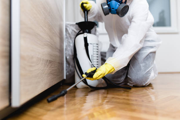 Best Cockroach Control Services  in Albion, IN