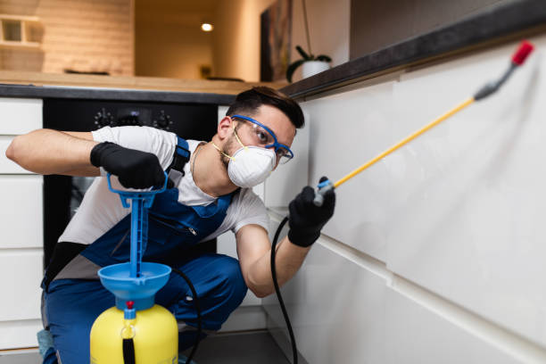 Best Residential Pest Control  in Albion, IN