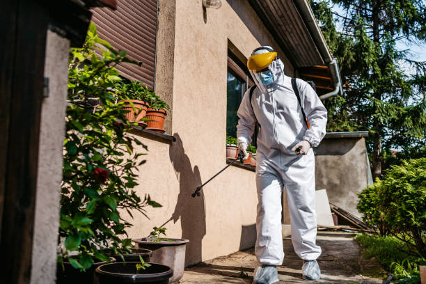 Professional Pest Control in Albion, IN