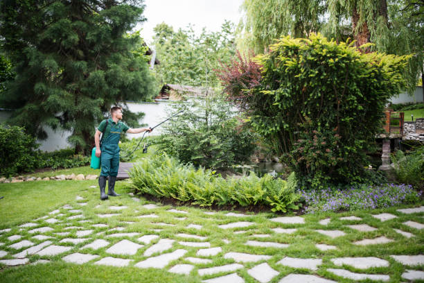 Best Best Pest Control Companies  in Albion, IN