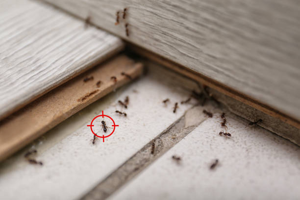 Best Pest Control Cost  in Albion, IN