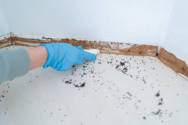 Pest Control for Restaurants in Albion, IN