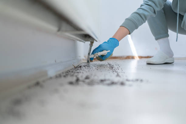 Best Flea Control Services  in Albion, IN